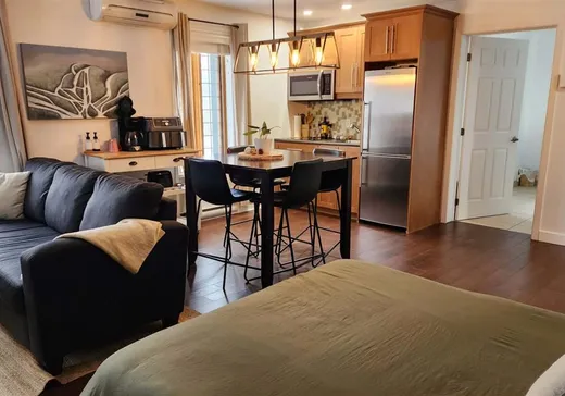Loft for sale - 2240 Ch. du Parc, App. 116, Magog, J1X 7A2
