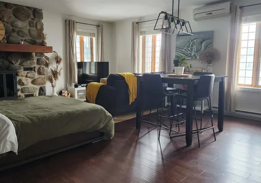 Loft for sale - 2240 Ch. du Parc, App. 116, Magog, J1X 7A2