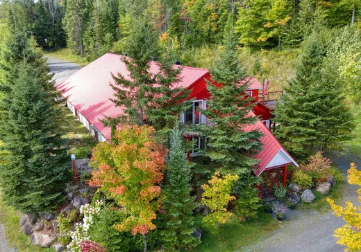 Fermette à vendre - 148 Ch. du Lac-de-la-Montagne-Noire, St-Donat-De-Montcalm, J0T 2C0