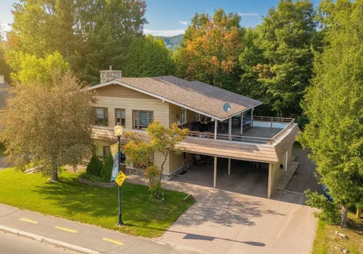 House for sale - 625Z-627Z Rue Principale, St-Donat-De-Montcalm, J0T 2C0