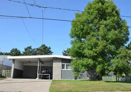 Maison à vendre - 17 Rue Laflèche, La Tuque, G9X 1A1