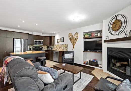 Maison à vendre - 214 Allée Boréalis, Mont-Tremblant, J8E 0A4
