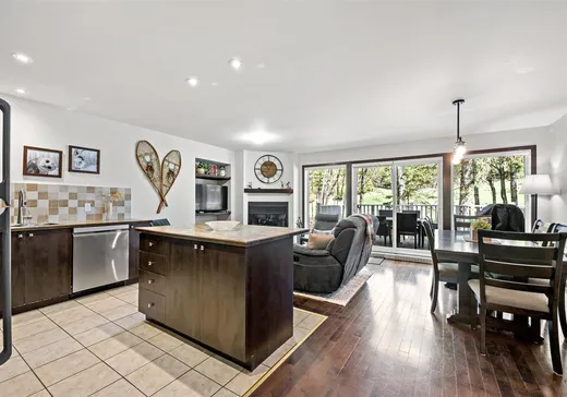 Maison à vendre - 214 Allée Boréalis, Mont-Tremblant, J8E 0A4