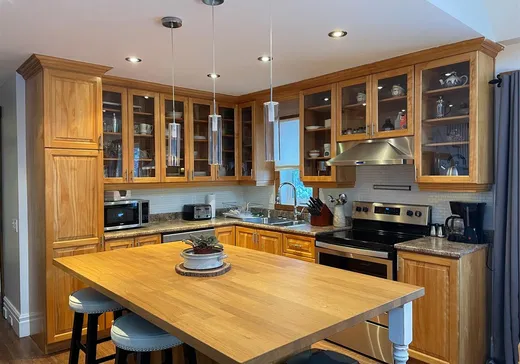 Maison à vendre - 19 Rue du Château, Eastman, J0E 1P0