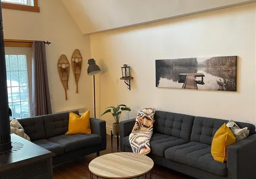 Maison à vendre - 19 Rue du Château, Eastman, J0E 1P0