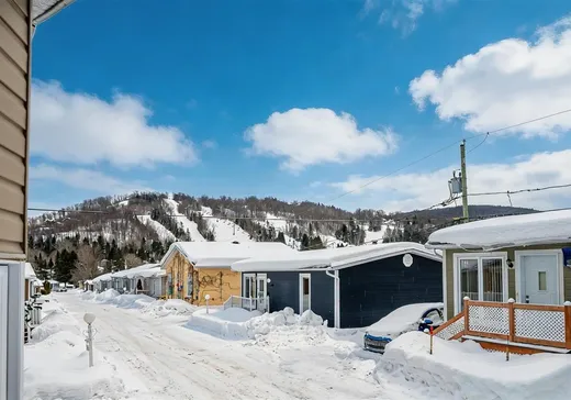 Loft for sale - 507 Ch. des Habitations-des-Monts, Saint-Sauveur, J0R 1R3