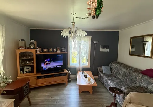 Maison à vendre - 800 Rg St-Pierre, Saint-Irénée, G0T 1V0