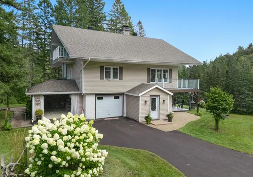 Maison à vendre - 1544 Ch. de l'Étoile, St-Adolphe d'Howard, J0T 2B0