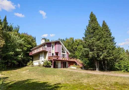 Maison à étages à vendre - 81 Ch. Tong-Il-Ro, St-Donat-De-Montcalm, J0T2C0