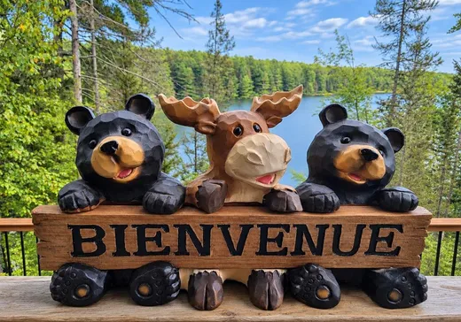 Maison à vendre - 271 Ch. Stephens, Otter Lake, J0X 2P0