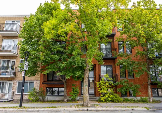 Condo à vendre - 3870 Rue Masson, Montréal (Rosemont–La Petite-Patrie), H1X1T1