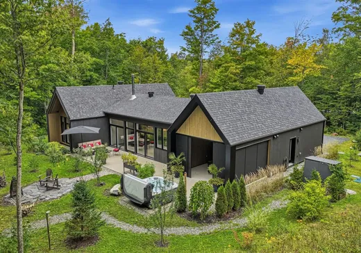House for sale - 40 Ch. du Pic-de-l'Ours, Eastman, J0E 1P0