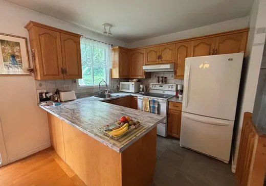 House for sale - 10 Rue Girouard, Victoriaville, G6P 5S4