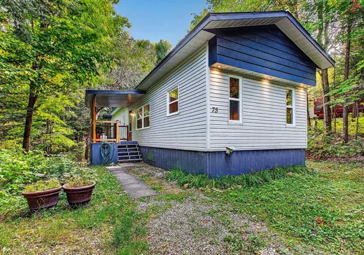 Maison à étages à vendre - 75 Ch. des Deux-Criques, Mont-Tremblant, J8E1X5