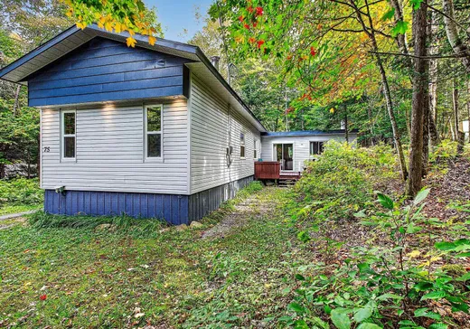 Maison à vendre - 75 Ch. des Deux-Criques, Mont-Tremblant, J8E 1X5