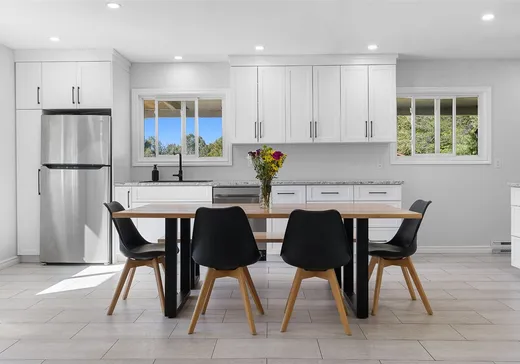 Maison à vendre - 10 Rue Richard, Otter Lake, J0X 2P0