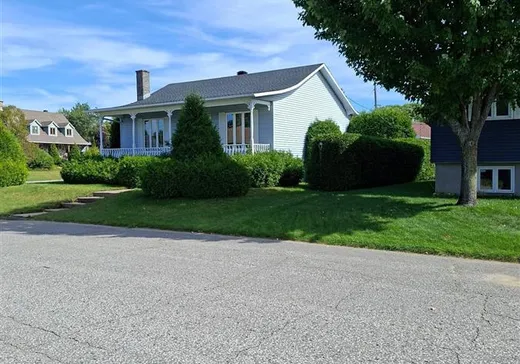 Maison à vendre - 325 Rue Martin-Descôteaux, Shawinigan, G9P 4G7