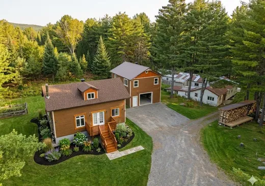 Un étage et demi à vendre - 880 Rg de la Rivière-aux-Écorces, St-Alexis-Des-Monts, J0K1V0