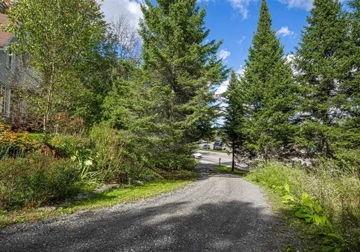 Maison à vendre - 352 Rue de Hatley, Magog, J1X 3G6