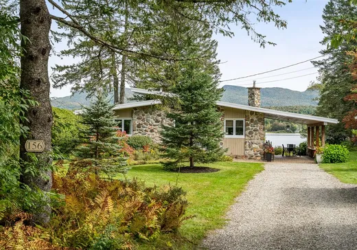 Maison à vendre - 156 Ch. du Lac-d'Argent, Eastman, J0E 1P0