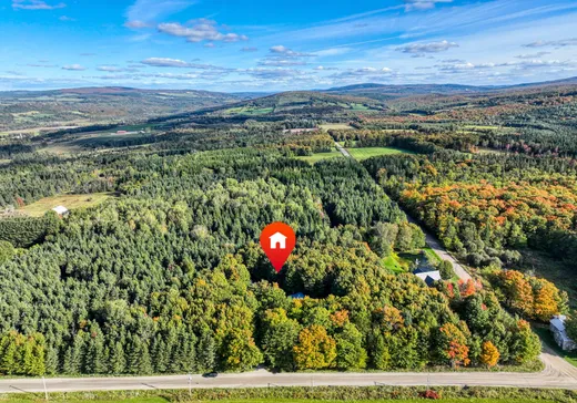 Maison à vendre - 869 13e Rang, St-Pierre-De-Broughton, G0N 1T0