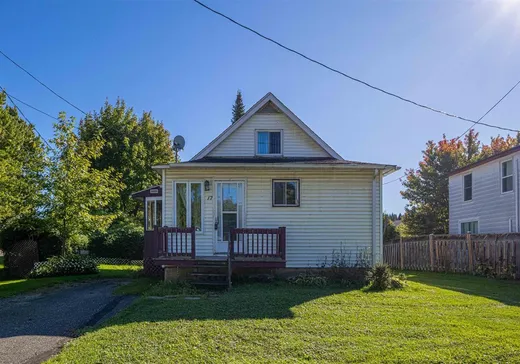 1 1/2 Storey for sale - 17 Ch. de Randboro, Sawyerville, J0B3A0