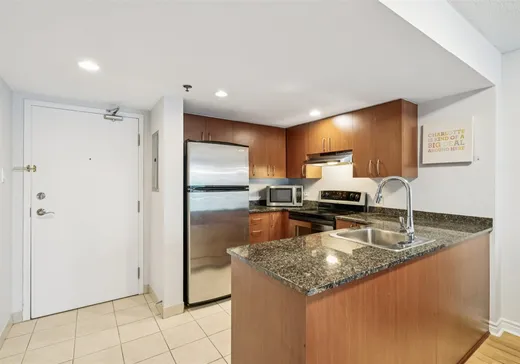 Condo à vendre - 88 Rue Charlotte, App. 511, Montréal (Ville-Marie), H2X 2W3