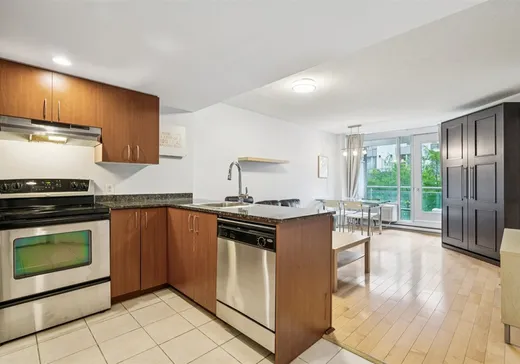 Condo à vendre - 88 Rue Charlotte, App. 511, Montréal (Ville-Marie), H2X 2W3