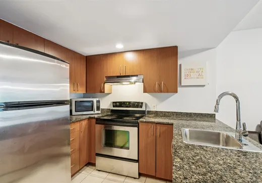 Condo à vendre - 88 Rue Charlotte, App. 511, Montréal (Ville-Marie), H2X 2W3