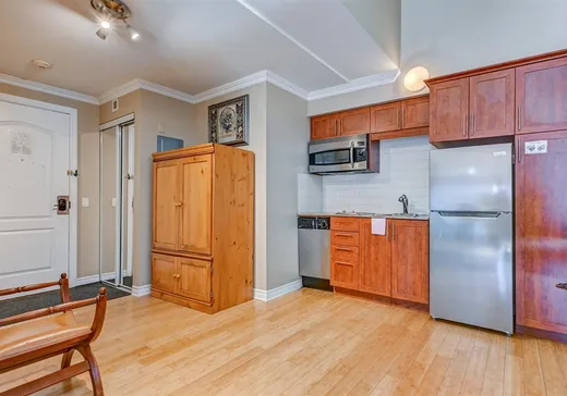 Condo for sale - 500 Ch. des Frênes, App. 208, Saint-Sauveur, J0R 1K0