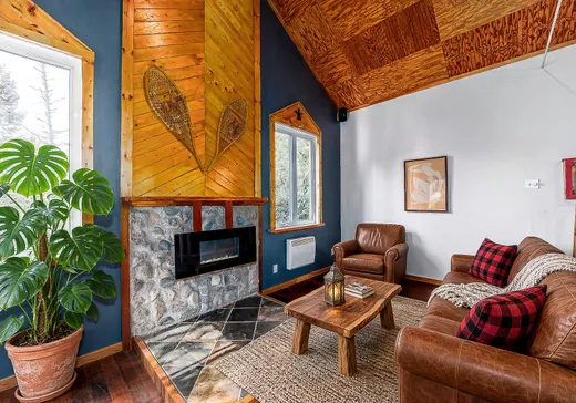 Maison à vendre - 295 1re rue du Domaine-Alouette, Sainte-Christine-d'Auvergne, G0A 1A0