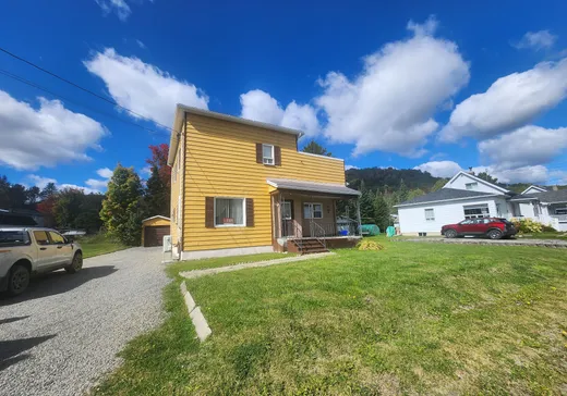 Maison à vendre - 266 Rue Plourde, Saint-Léon-le-Grand, G0J 2W0