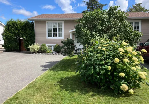 Maison à vendre - 154 Rue du Chaud-Bois, Val-d'Or, J9P 5S9