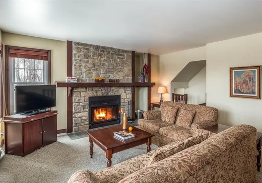 Condo à vendre - 270 Rue du Mont-Plaisant, App. 9, Mont-Tremblant, J8E 1L2