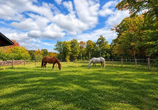 Fermette à vendre - 130Z Route 271, Saint-Benoît-Labre, G0M 1P0