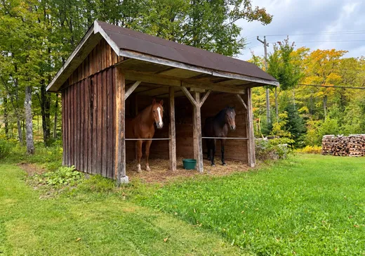 Fermette à vendre - 130Z Route 271, Saint-Benoît-Labre, G0M 1P0