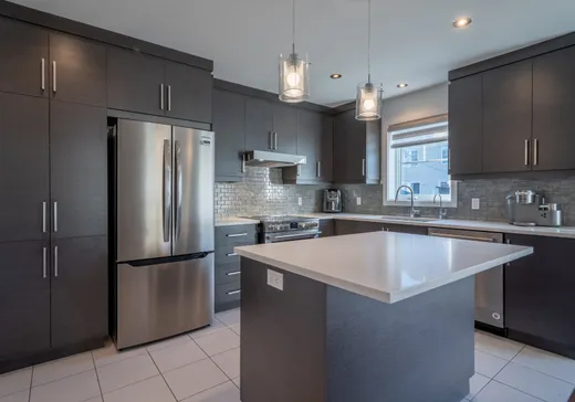 House for sale - 42 Rue Foucreault, Saint-Philippe, J0L 2K0