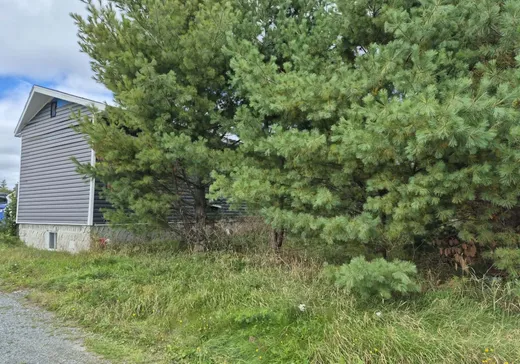 House for sale - 110 Rue Juteau, Val-d'Or, J9P 0C3