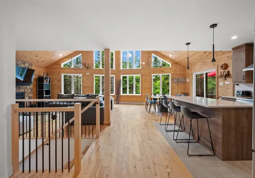 Maison à vendre - 236 Ch. des Monarques, St-Remi-D'Amherst, J0T 2L0