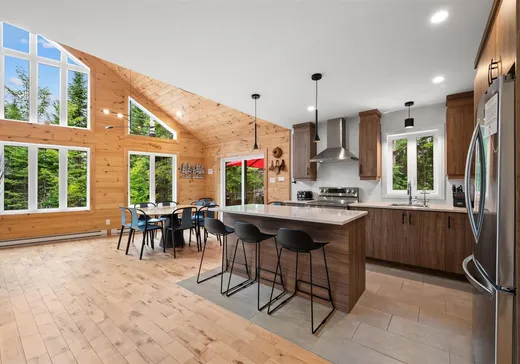 Maison à vendre - 236 Ch. des Monarques, St-Remi-D'Amherst, J0T 2L0