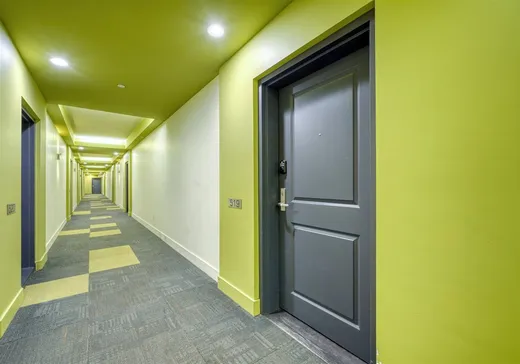 Condo for sale - 1248 Av. de l'Hôtel-de-Ville, App. 519, Montreal (Ville-Marie), H2X 0B2