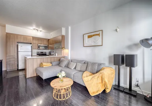 Condo for sale - 1248 Av. de l'Hôtel-de-Ville, App. 519, Montreal (Ville-Marie), H2X 0B2