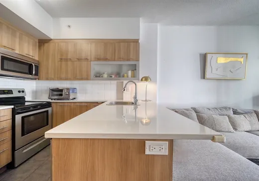 Condo for sale - 1248 Av. de l'Hôtel-de-Ville, App. 519, Montreal (Ville-Marie), H2X 0B2