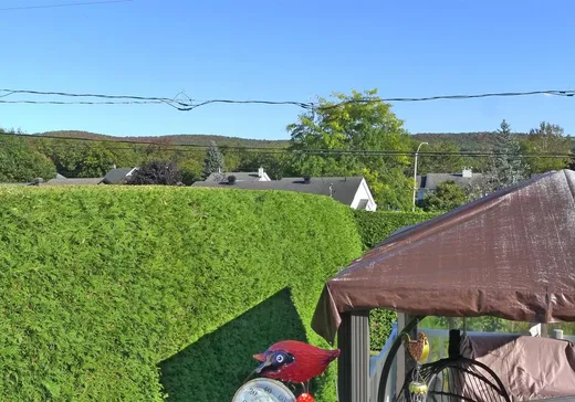 House for sale - 11 Rue Gravel, Victoriaville, G6P 7A2