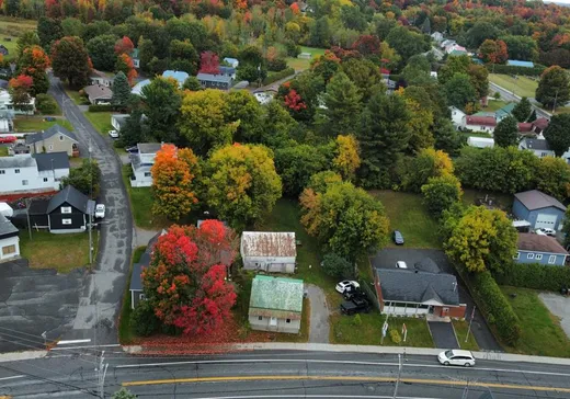 Maison à vendre - 38 Rue de l'Église, Ville de Québec, J0H 1E0