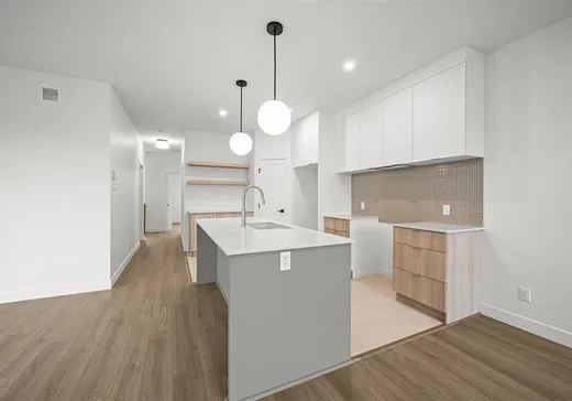 Maison à vendre - 163 Rue du Manège, Waterloo, J0E 2N0