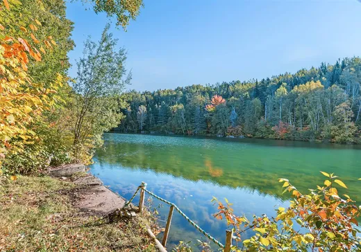 Bungalow à vendre - 134 5e Rang O., St-Donat-De-Montcalm, G0K1L0