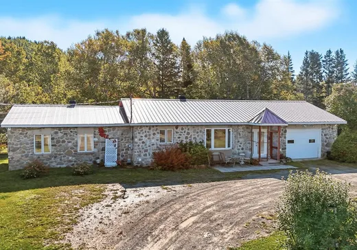 Maison à vendre - 134 5e Rang O., St-Donat-De-Montcalm, G0K 1L0