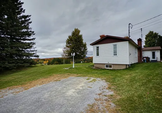 Maison à vendre - 1000 Ch. Carette, Dudswell, J0B 1G0