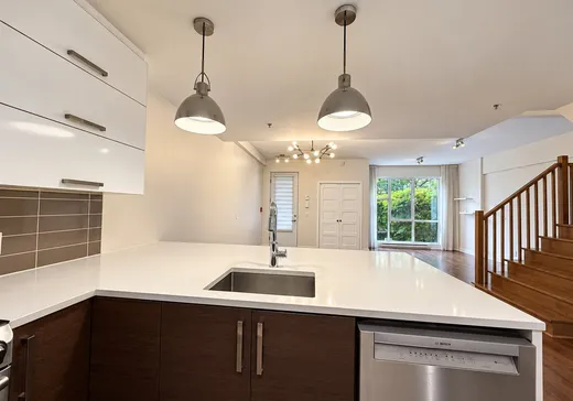 Condo à vendre - 1811 Rue William, App. 112, Montréal (Centreville), H3J 0A7